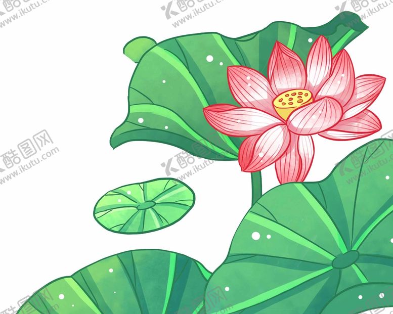 编号：96034509172258505697【酷图网】源文件下载-手绘荷花