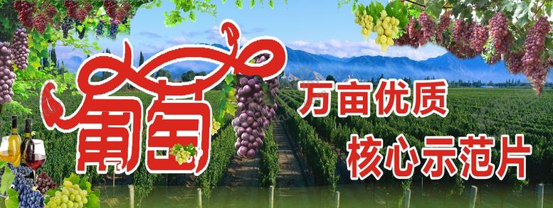 编号：18377801271714173545【酷图网】源文件下载-葡萄种植园宣传展示海报