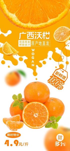 新鲜橙子水果创意插画