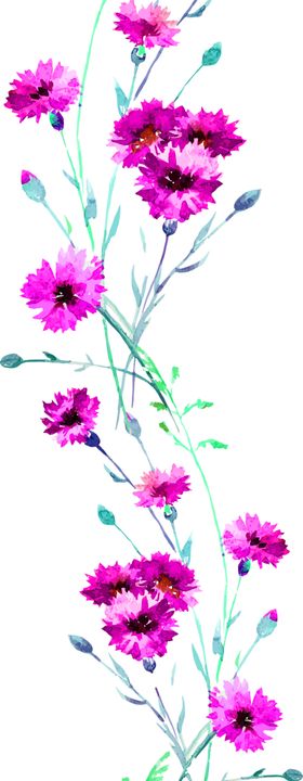 花素材朵底纹小清新朵鲜朵