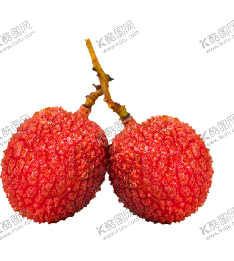 编号：76088902090412348201【酷图网】源文件下载-免扣荔枝