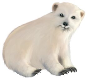 北极熊