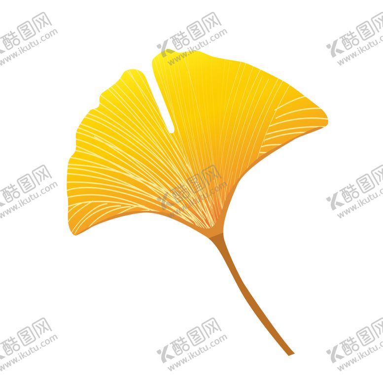 编号：34325605120405553312【酷图网】源文件下载-秋天银杏叶
