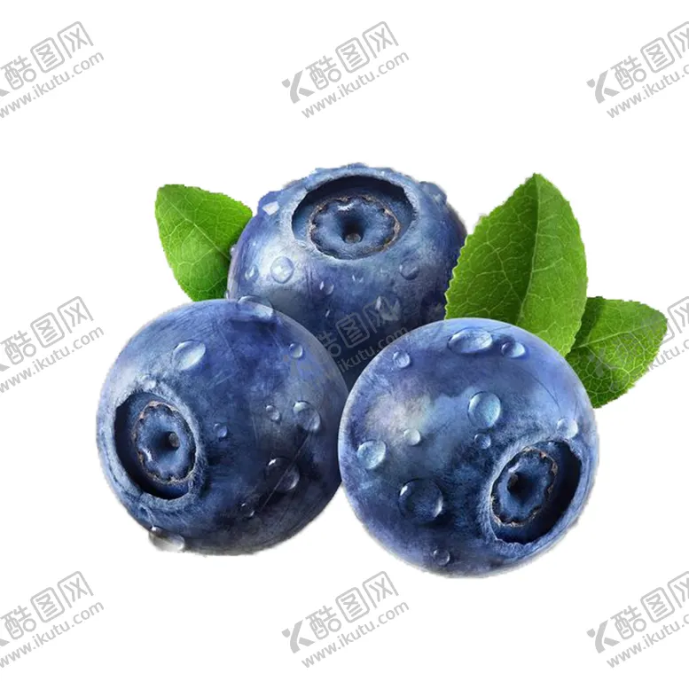 编号：78958901162356455141【酷图网】源文件下载-新鲜蓝莓png