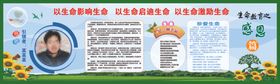 生命教育之感恩篇