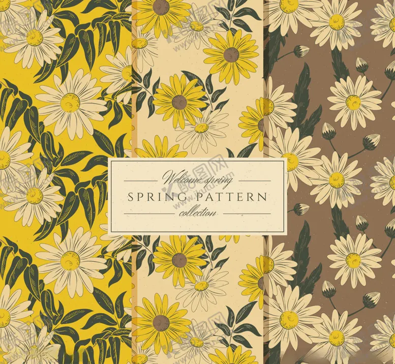 编号：93255811010246351925【酷图网】源文件下载-3款手绘复古春季菊花无缝背景矢