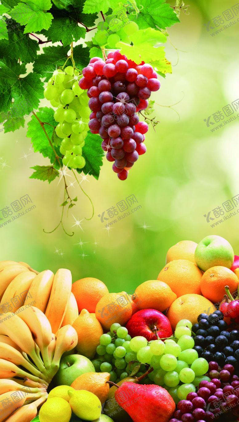 编号：32239209241523174152【酷图网】源文件下载-水果集合