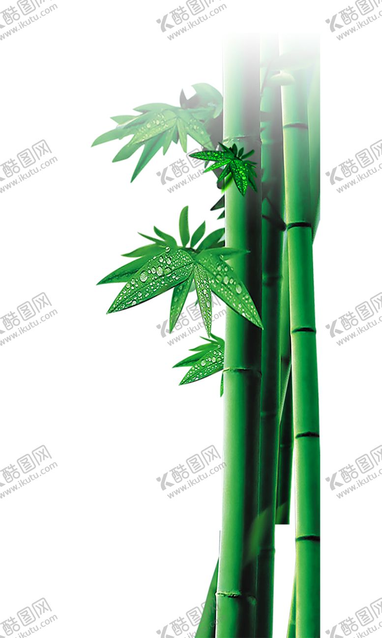 编号：31062810190329329777【酷图网】源文件下载-绿色相框
