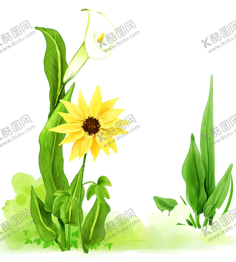 编号：99878806271157391951【酷图网】源文件下载-绿色植物