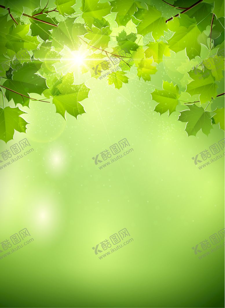 编号：30930910151239019696【酷图网】源文件下载-绿色背景