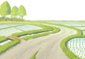 农田乡间小镇道路水稻插画卡通