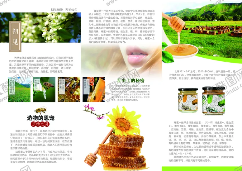 编号：72809409131827102504【酷图网】源文件下载-蜂蜜三折页蜜蜂文化画册