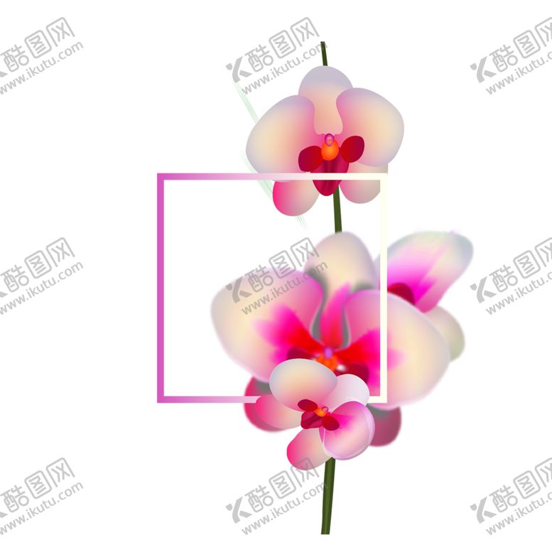 编号：73484207020153447033【酷图网】源文件下载-鲜花素材