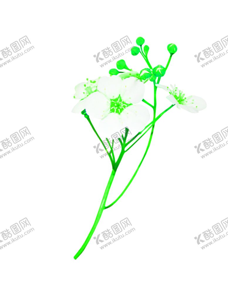 编号：62042006190051488005【酷图网】源文件下载-花素材