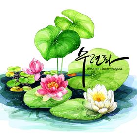 水墨荷花