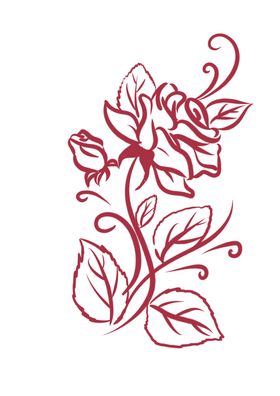玫瑰花手绘线稿