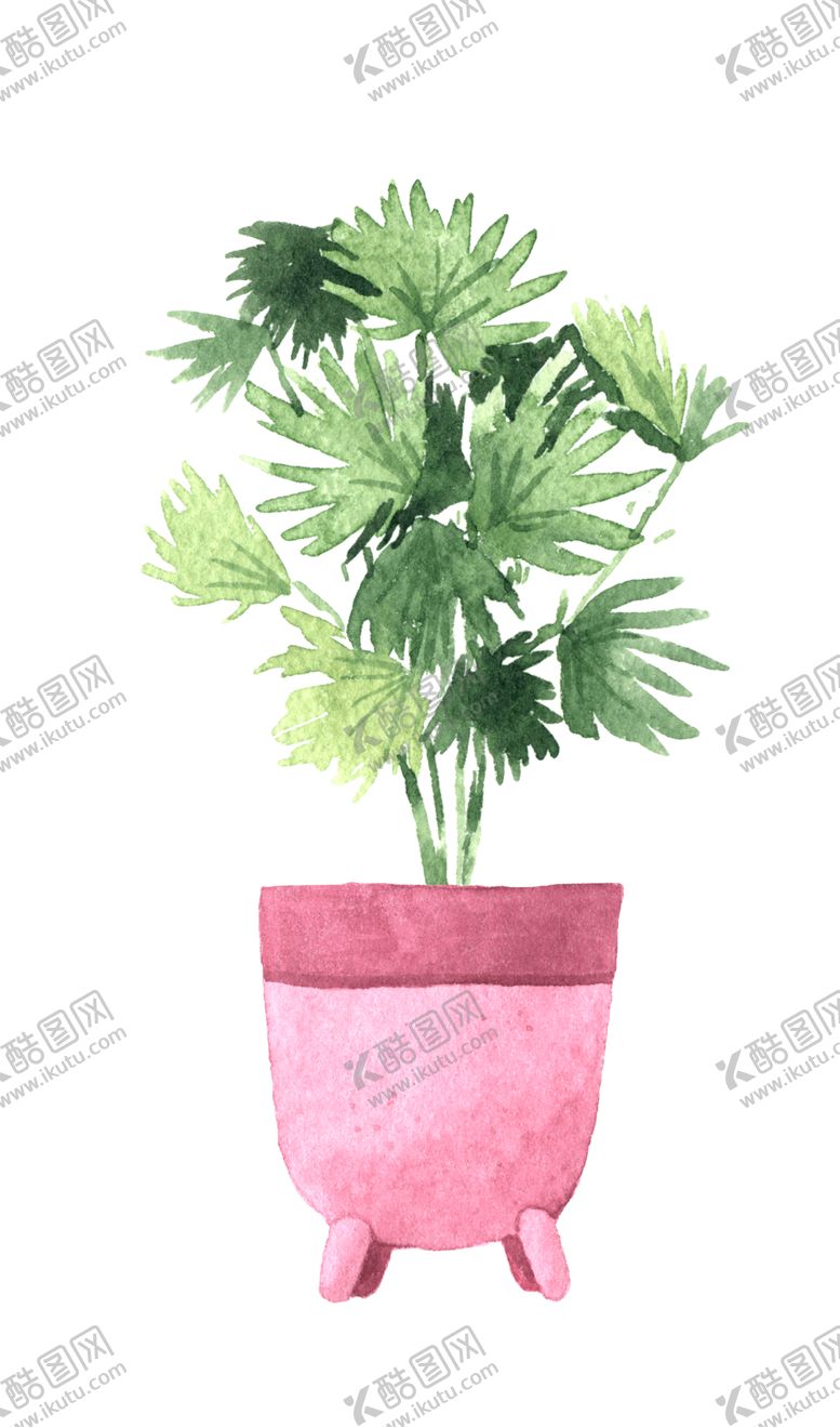 编号：47711109201834186405【酷图网】源文件下载-绿色家庭植物