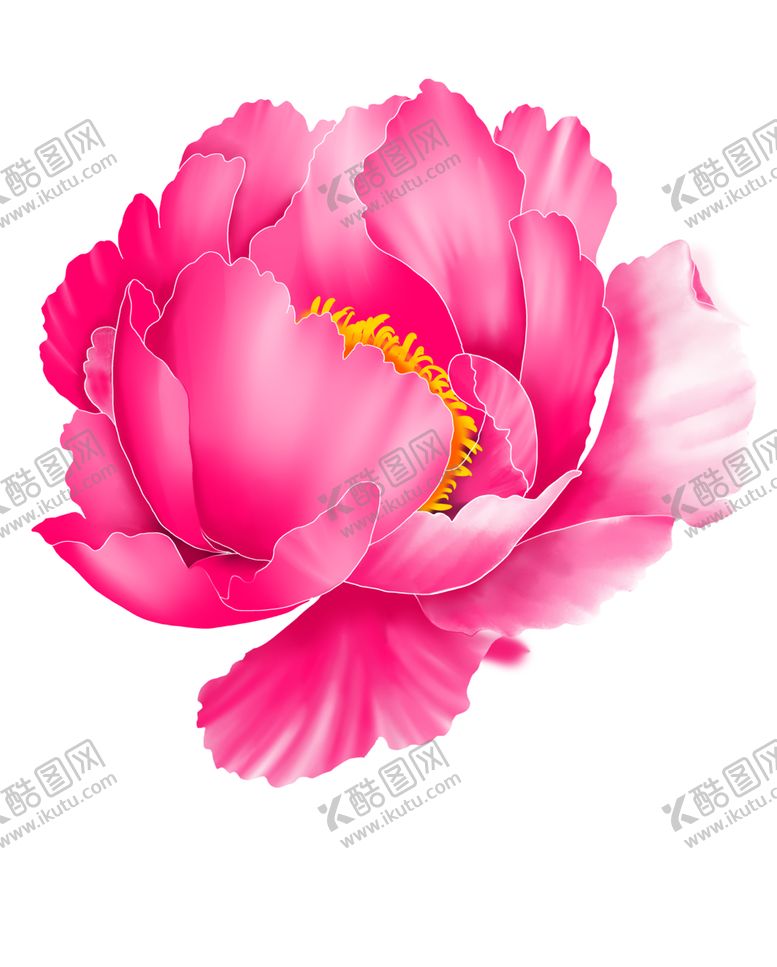 编号：82656810270539335508【酷图网】源文件下载-手绘粉红色牡丹花卉