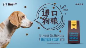 狗粮