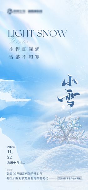 小雪蓝色医疗节气海报