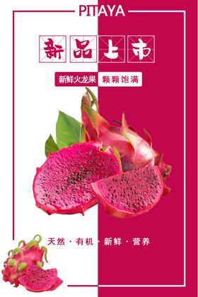 火龙果海报