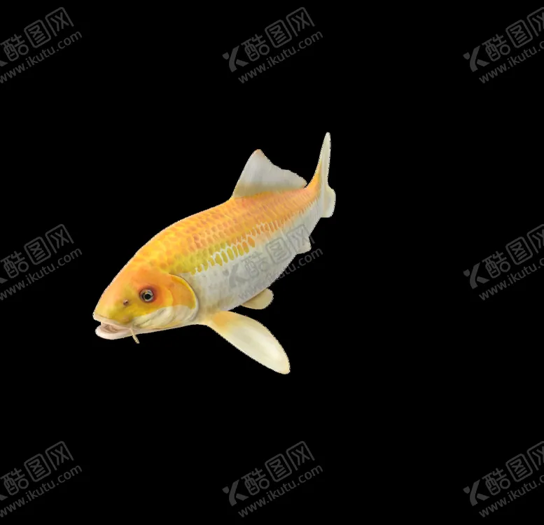 编号：27516306242146332438【酷图网】源文件下载-海洋生物