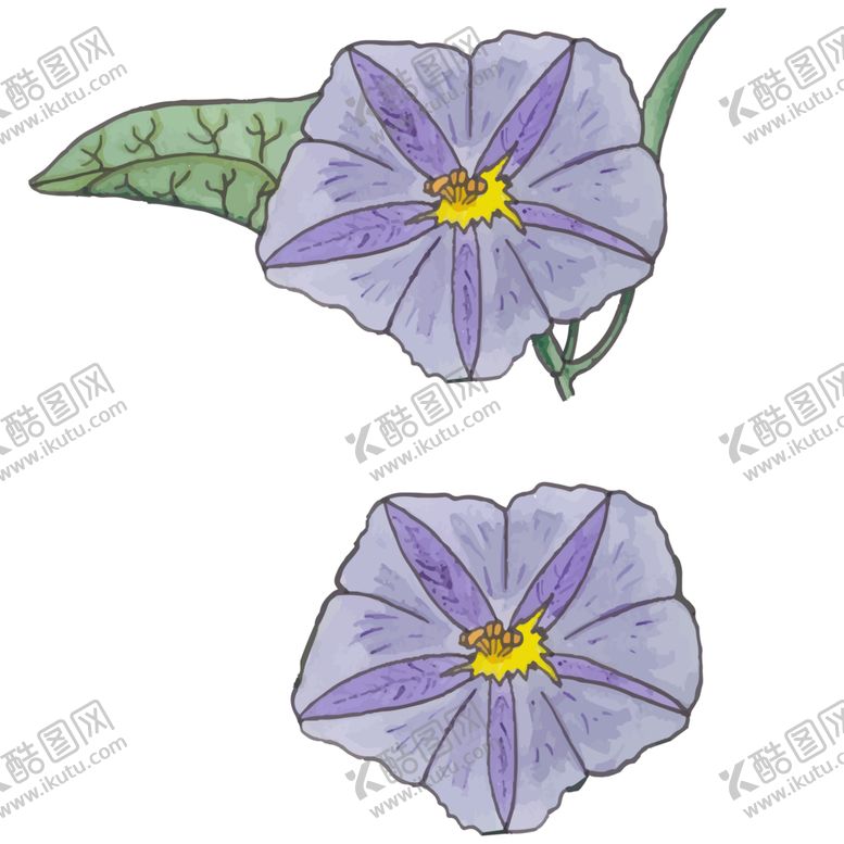 编号：86325509230704143226【酷图网】源文件下载-花图片