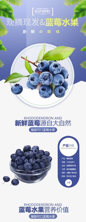 蓝莓水果详情页