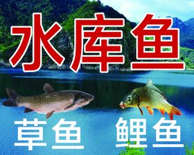 水库鱼