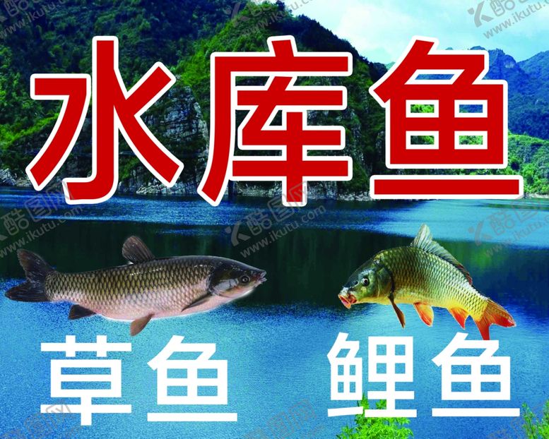 编号：23151710190219571603【酷图网】源文件下载-水库鱼