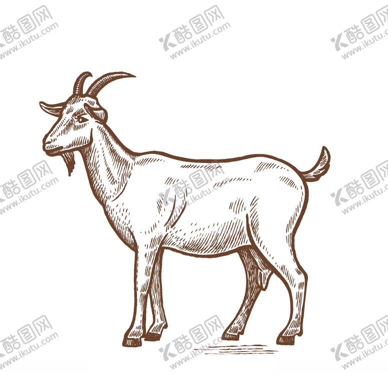编号：65148209250722558557【酷图网】源文件下载-山羊