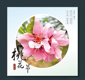 桃花节