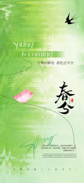 春分节气绿色竹林海报