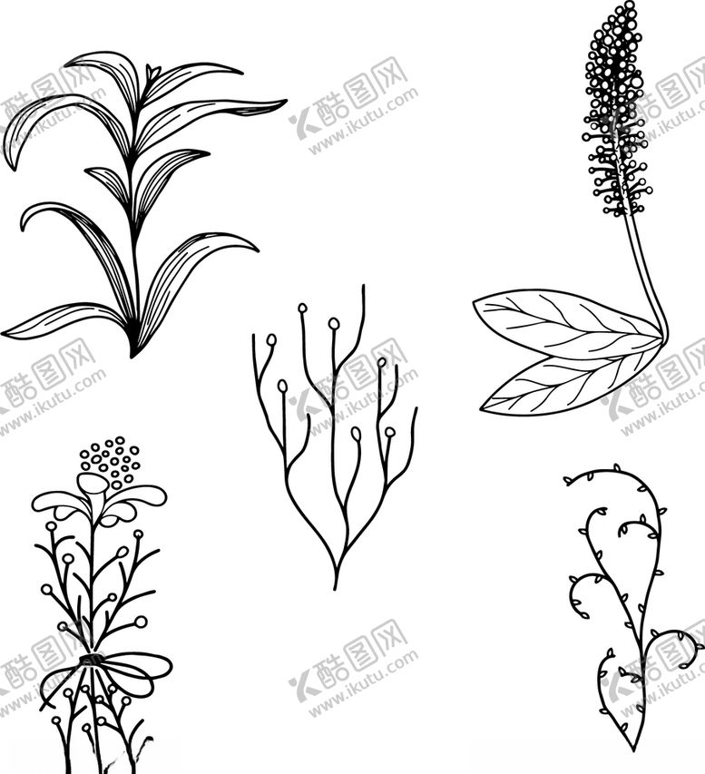 编号：98164307030921277701【酷图网】源文件下载-植物花草线稿