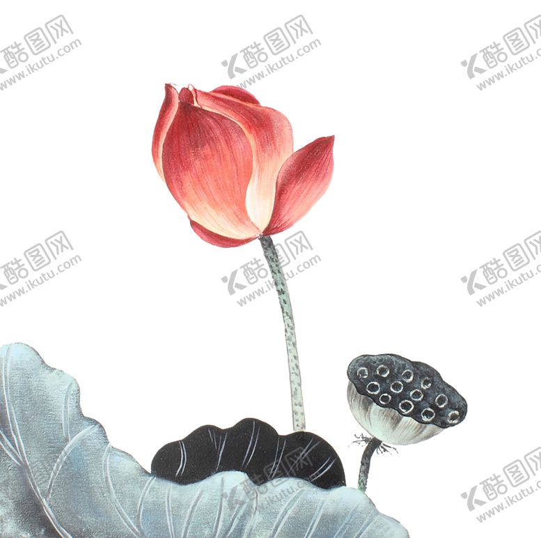 编号：29761605151849231661【酷图网】源文件下载-水墨荷花粉色荷花荷花意境