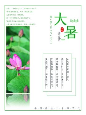 大暑清新刷屏单图