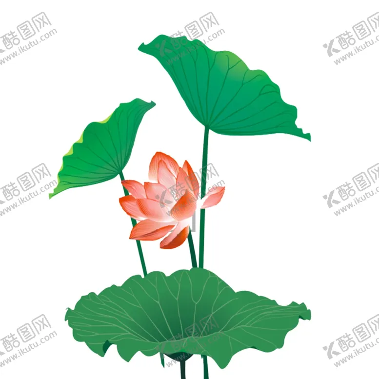 编号：61596601190221569277【酷图网】源文件下载-荷花素材