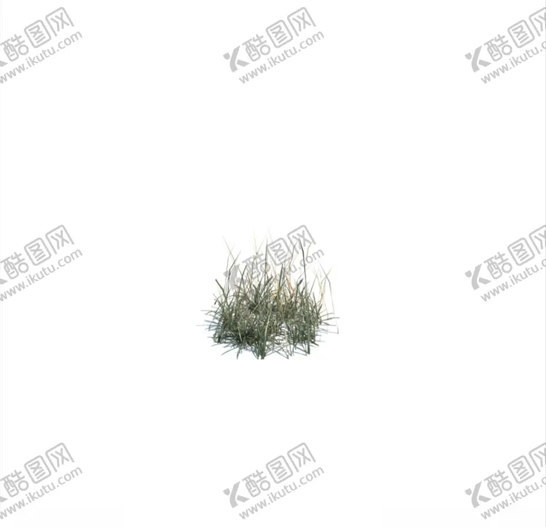 编号：49699904170015149001【酷图网】源文件下载-东方香蒲