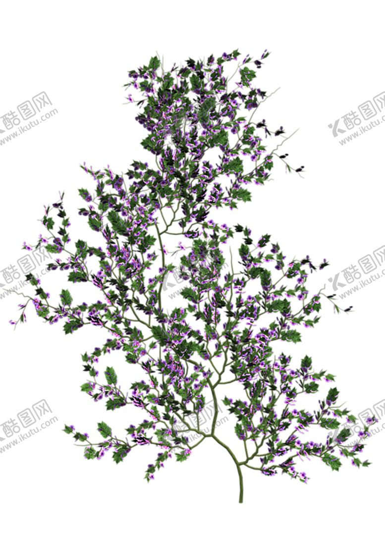 编号：17070209261347587112【酷图网】源文件下载-绿色相框