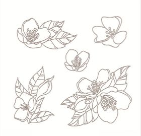 服装印花花纹花朵底纹纹理