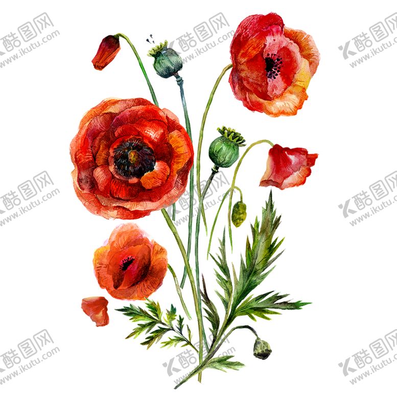 编号：68166405142237205267【酷图网】源文件下载-鲜花素材