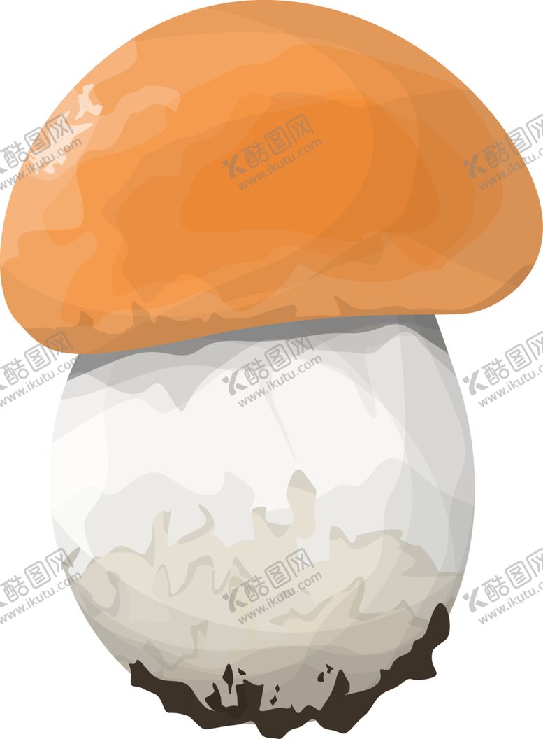 编号：66959202081942427105【酷图网】源文件下载-菌类植物