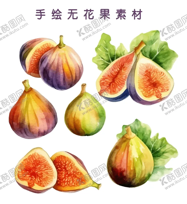 编号：47022302182035507108【酷图网】源文件下载-手绘无花果