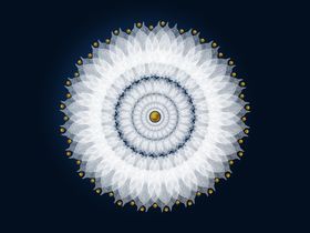 白色花朵现代装饰画