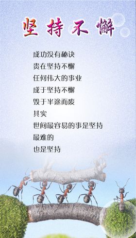 坚持不懈