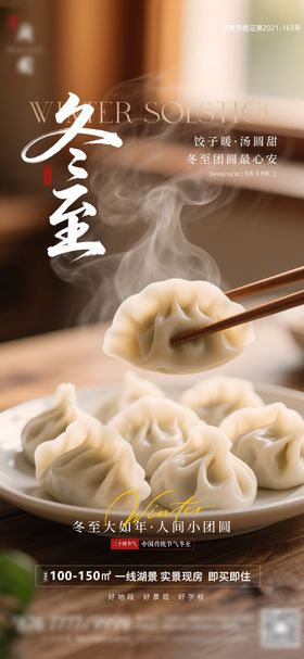 地产冬至节气水饺海报