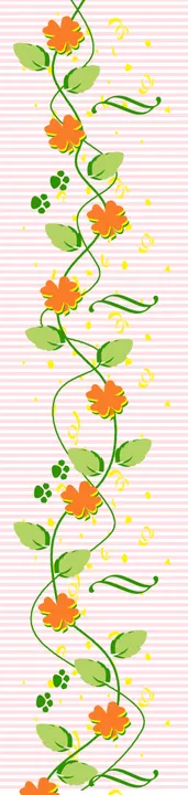 花边底纹简约画框美丽
