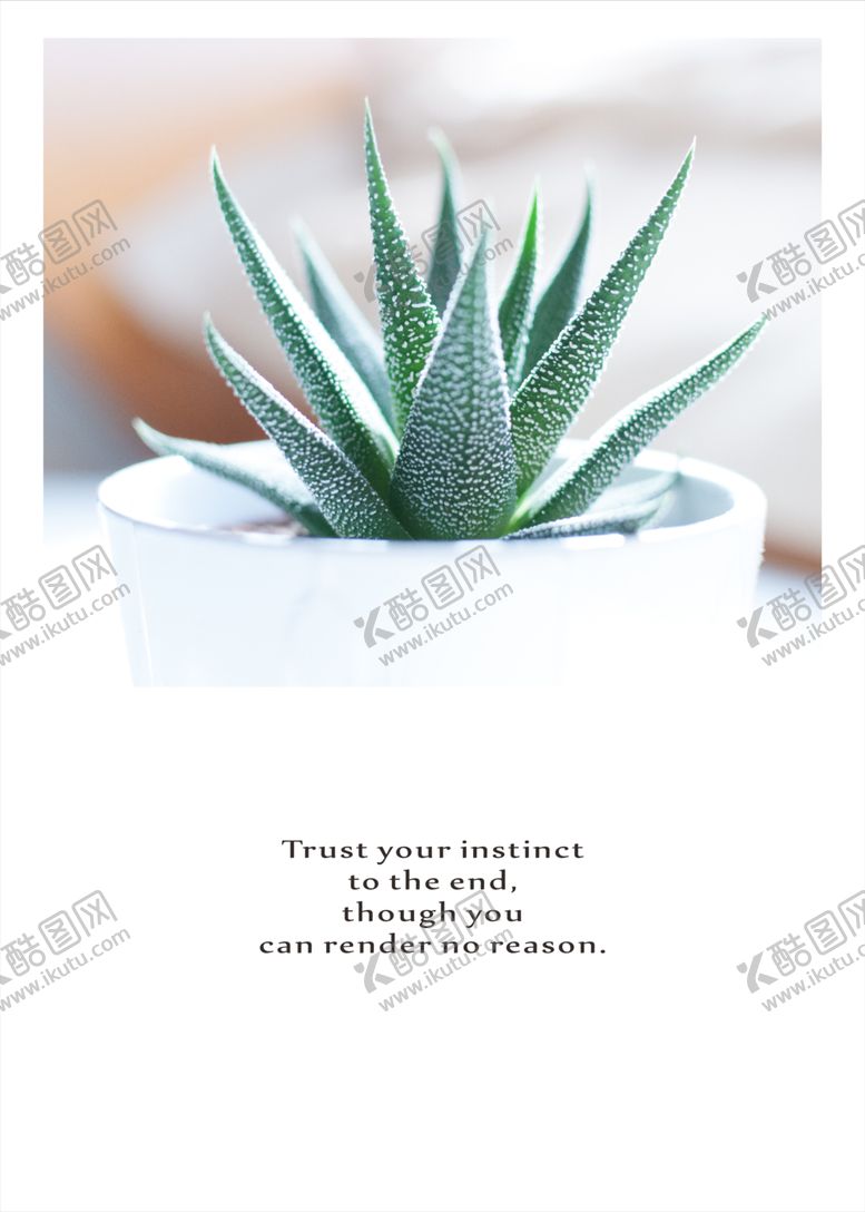 编号：18524910300428506196【酷图网】源文件下载-植物小清新装饰画