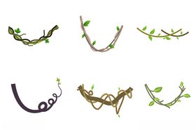 卡通树藤树枝矢量图