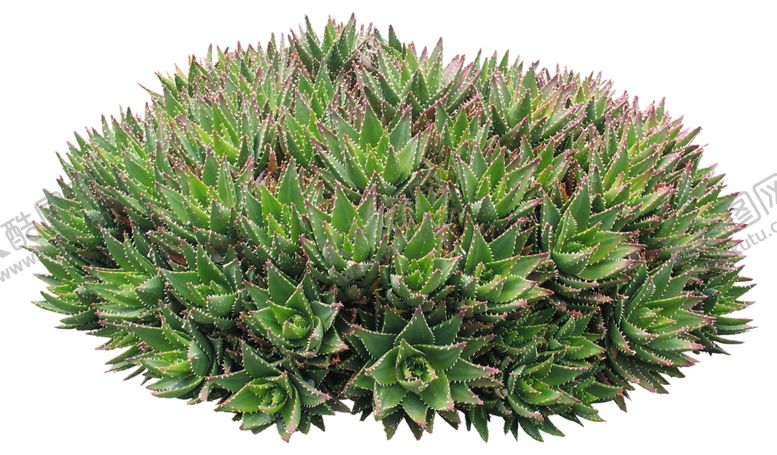 编号：85931110101057208622【酷图网】源文件下载-绿色树木植物素材